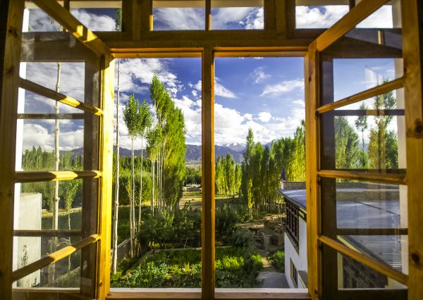 Cost of Wood Window Replacement in Georgetown