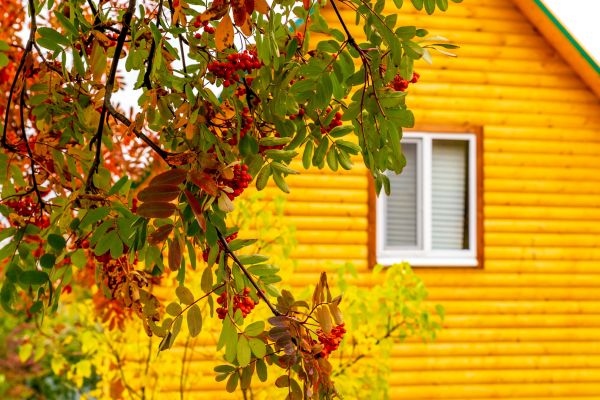 Cost of Garden Window Replacement in Georgetown